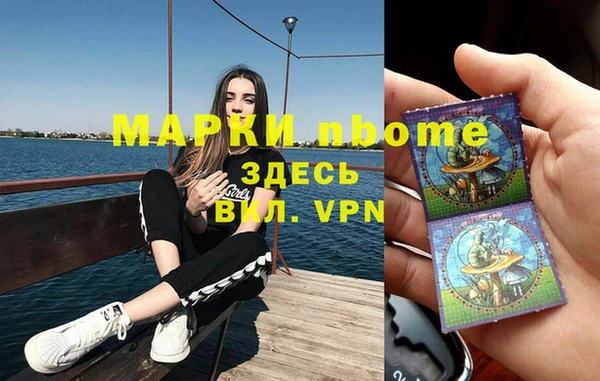 стаф Абаза
