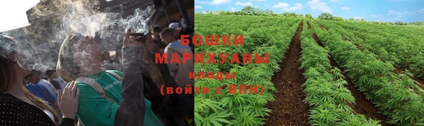 сатива Абдулино