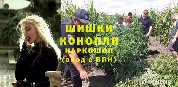 сатива Абдулино