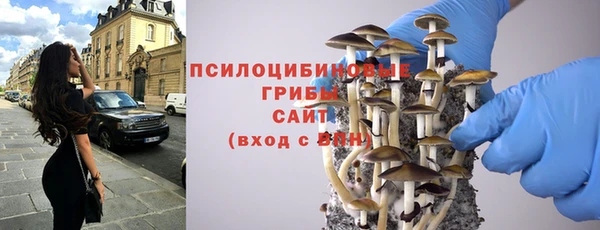 сатива Абдулино