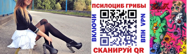 KRAKEN зеркало  Кинешма  Псилоцибиновые грибы Psilocybe  закладки 