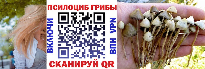 Псилоцибиновые грибы мицелий Кинешма